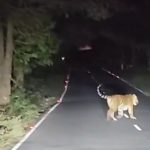 Screenshot_2025-12-25-19-03-42-701_com.whatsapp-edit