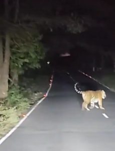 Screenshot_2025-12-25-19-03-42-701_com.whatsapp-edit